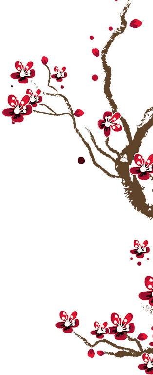 Décoration florale